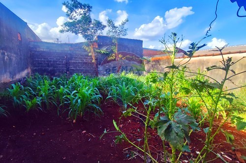 Slider Image Thumbnail