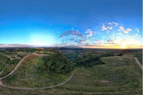 Chácara / Sítio / Fazenda - Venda - Monte Alto , São Paulo - foto 2.jpg - 780271059-44