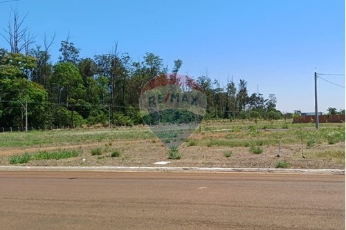 Venda-Terreno-Avenida Romeu bonini , sn  - Na Avenida  - Conjunto Habitacional Antônio Pedro Ortolan , Sertãozinho , São Paulo , 14176430-780191016-33