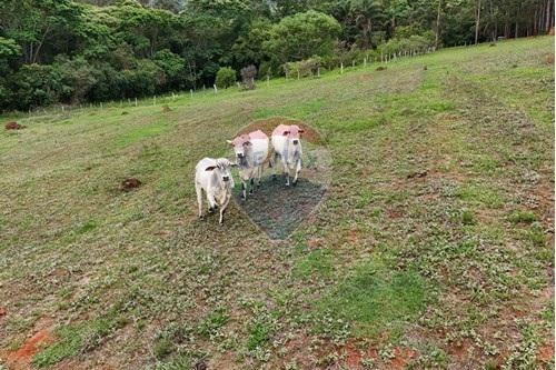 Venda-Chácara / Sítio / Fazenda-Centro , Aiuruoca , Minas Gerais , 37450000-780251035-5