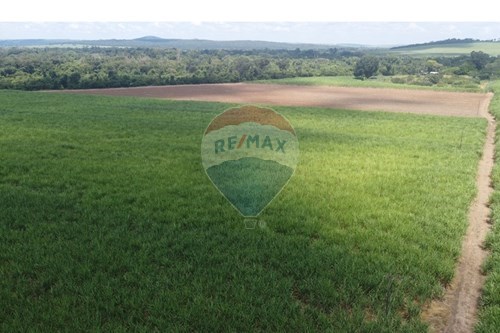 Venda-Fazenda-Centro , Altinópolis , São Paulo , 14350-000-780071012-246