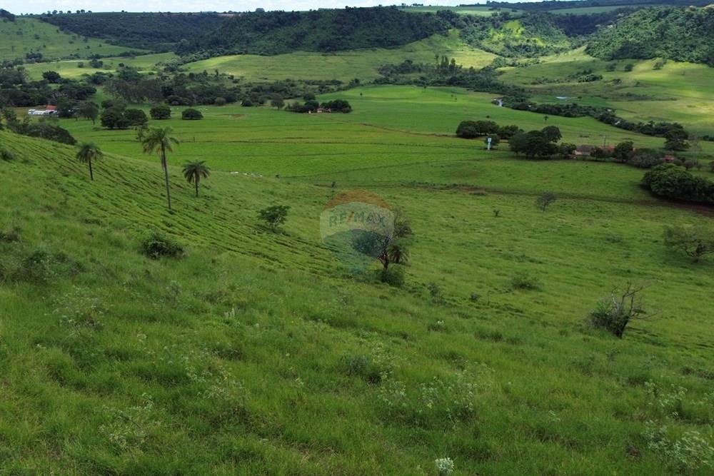 Fazenda - Venda - Cajuru , São Paulo - DJI_0063.JPG - 780171030-74