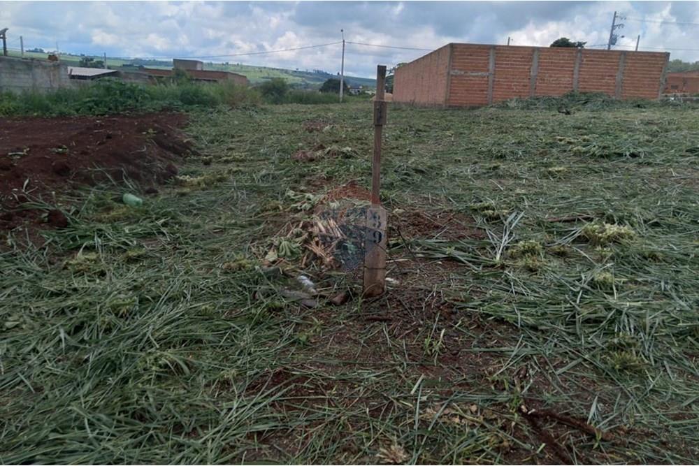 Terreno - Venda - Ribeirão Preto , São Paulo - WhatsApp Image 2025-04-17 at 15.43.10.jpeg - 780101051-1