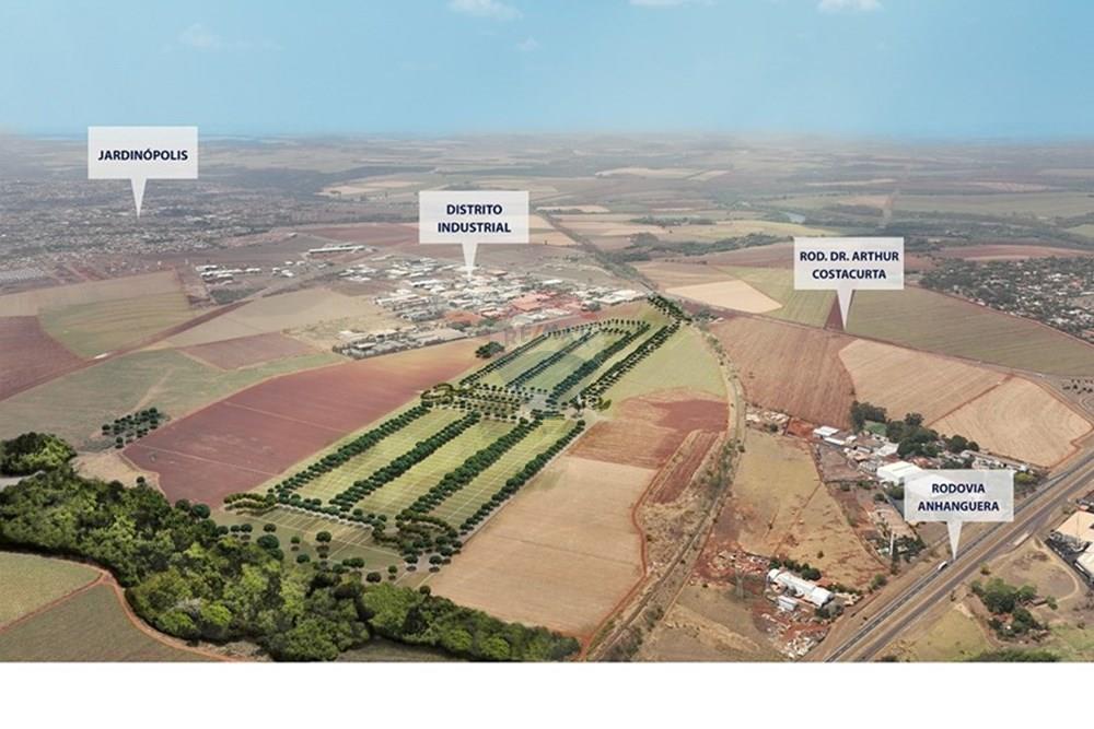 Terreno - Venda - Jardinópolis , São Paulo - WhatsApp Image 2025-08-12 at 15.25.38.jpeg - 780131009-132