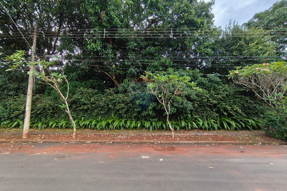 Terreno - Venda - Ribeirão Preto , São Paulo - IMG_20260113_102400.jpg - Layout aberto - 780091040-63