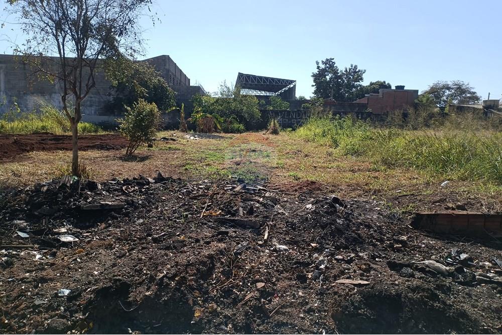 Terreno - Venda - Ribeirão Preto , São Paulo - IMG_20250626_105324.jpg - 780181007-772