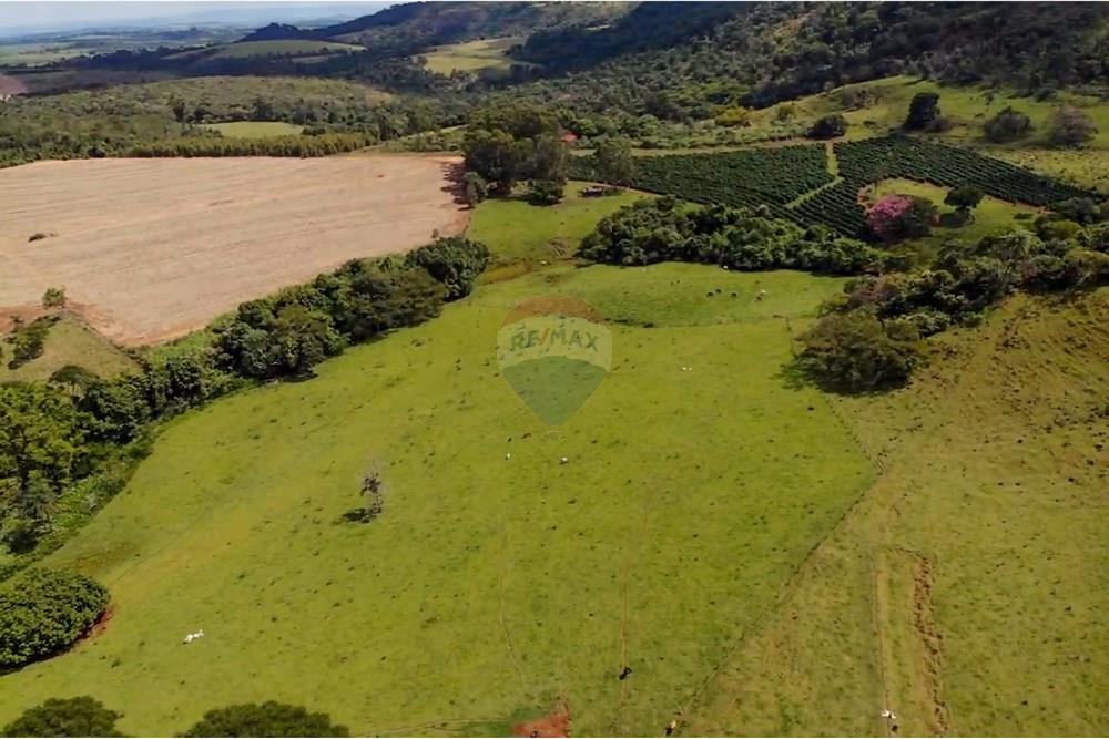 Chácara / Sítio / Fazenda - Venda - Cajuru , São Paulo - IMG_9368.jpg - 780241009-47