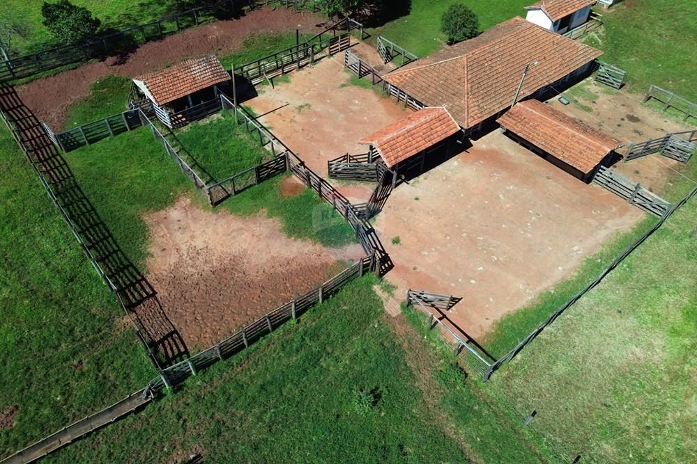 Fazenda - Venda - Cajuru , São Paulo - DJI_0009.JPG - 780171030-74