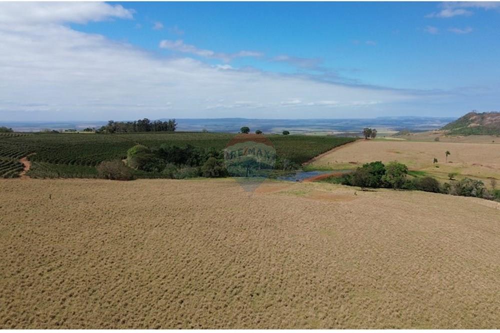 Fazenda - Venda - Cajuru , São Paulo - DJI_0303.JPG - 780171030-74