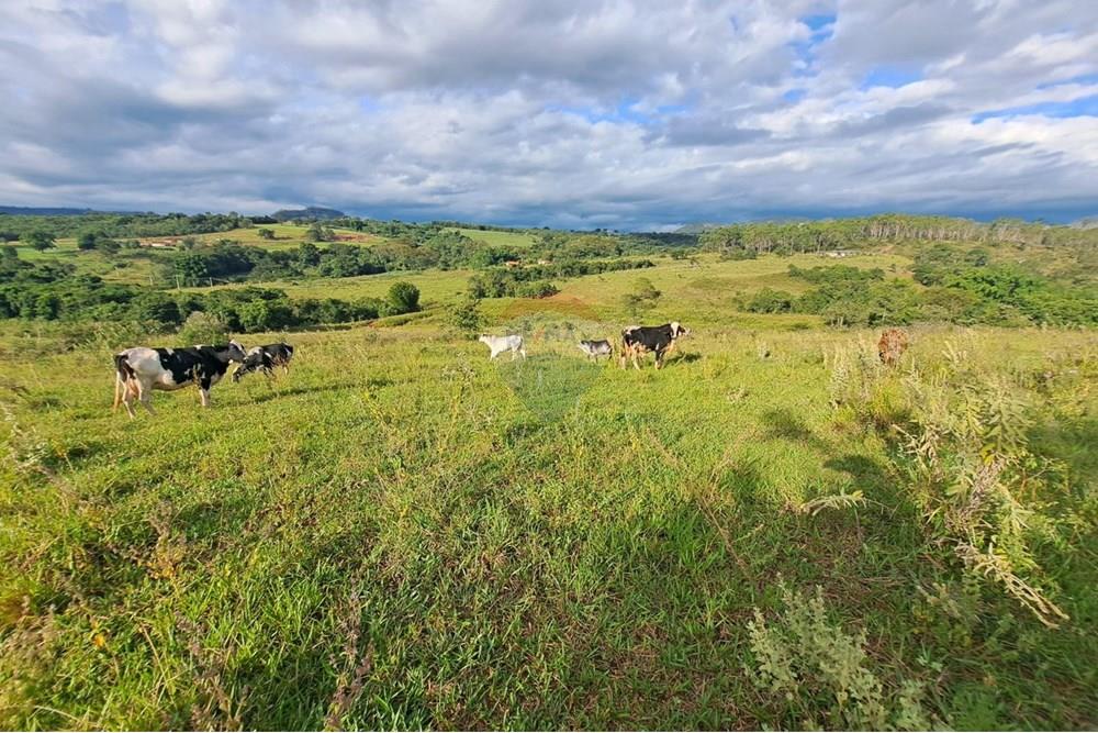 Chácara / Sítio / Fazenda - Venda - Cajuru , São Paulo - IMG-20250406-WA0168.jpg - 780171030-59