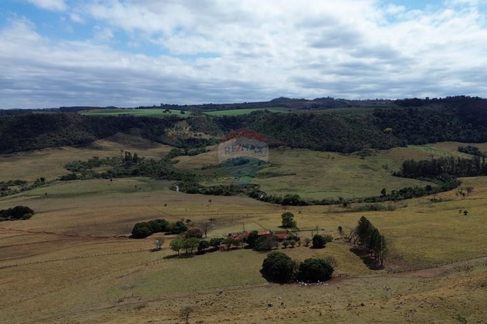 Chácara / Sítio / Fazenda - Venda - Cajuru , São Paulo - DJI_0306.JPG - 780171030-77