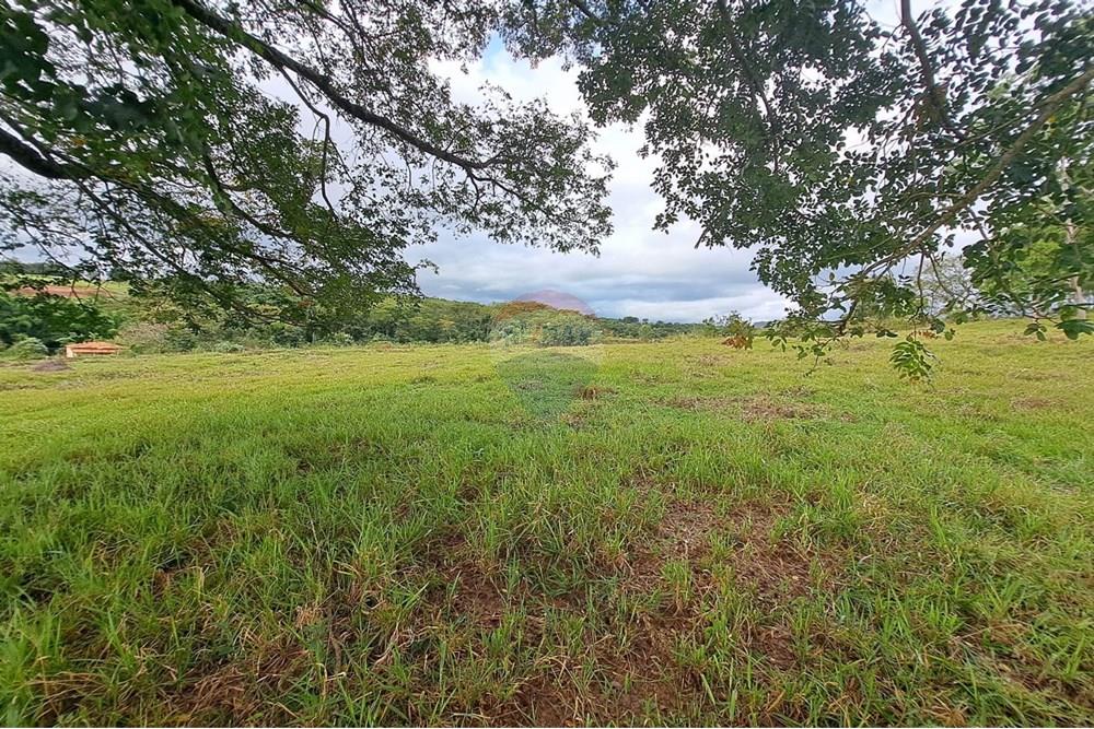 Chácara / Sítio / Fazenda - Venda - Cajuru , São Paulo - IMG-20250406-WA0111.jpg - 780171030-59