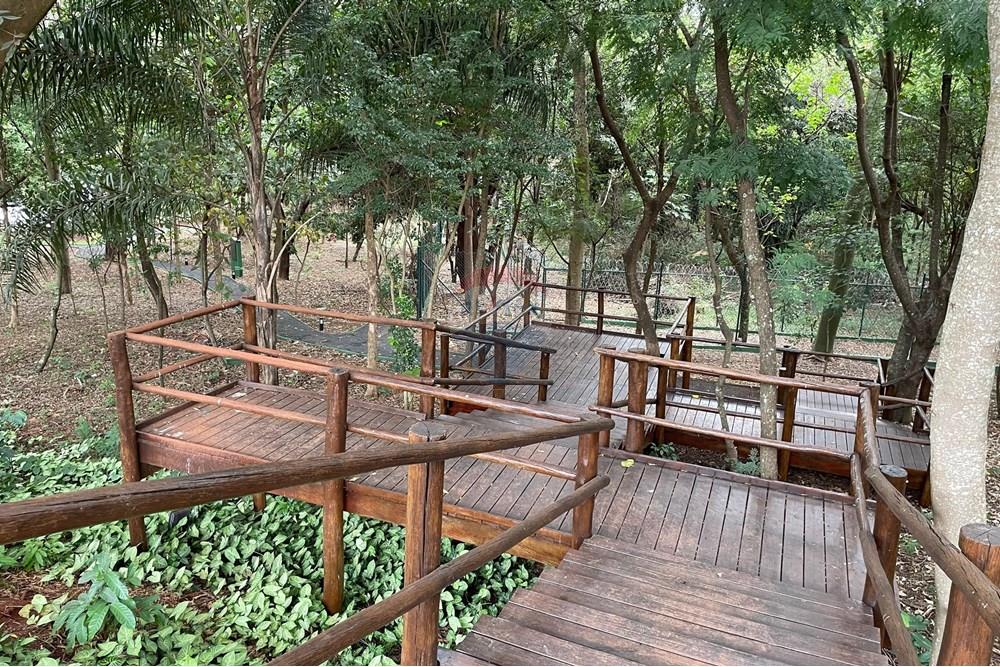 Terreno - Venda - Ribeirão Preto , São Paulo - Escada Lago.jpg - 780171068-11