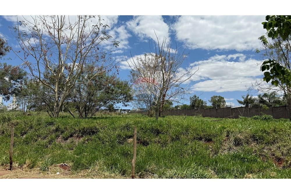 Terreno - Venda - Ribeirão Preto , São Paulo - IMG_1899.JPG - 780121020-80