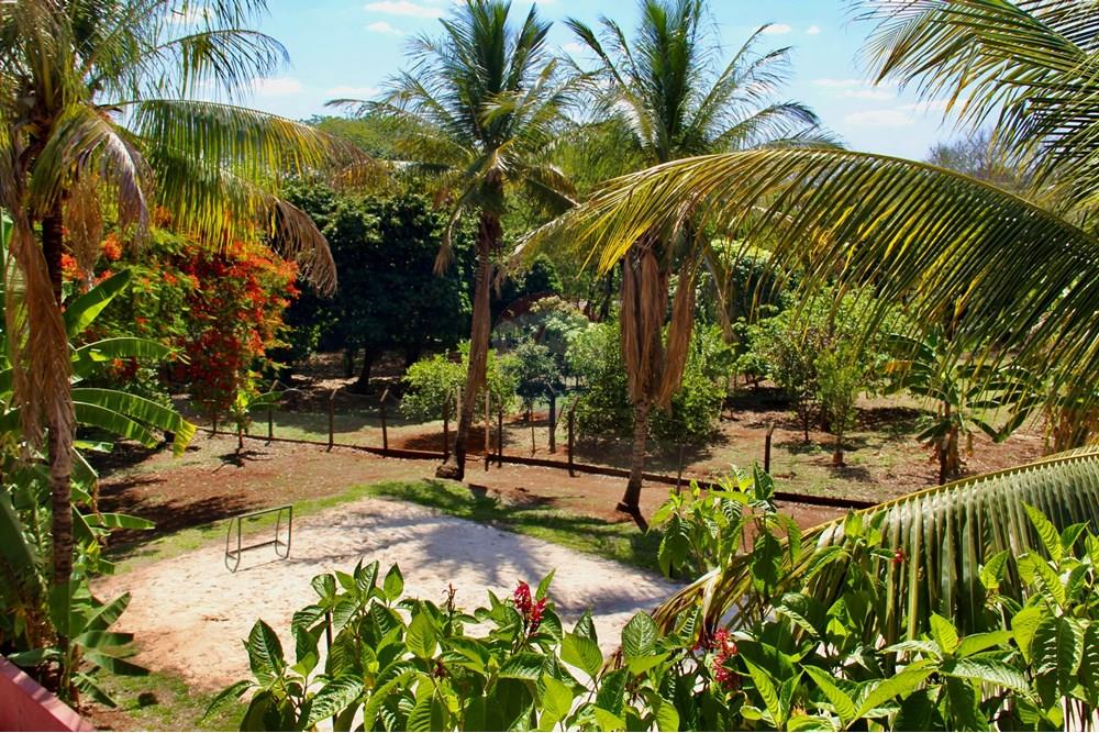 Chácara / Sítio / Fazenda - Venda - Ribeirão Preto , São Paulo - IMG_8802.jpeg - 780261028-27