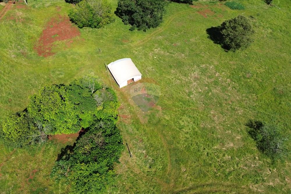 Fazenda - Venda - Cajuru , São Paulo - DJI_0003.JPG - 780171030-74