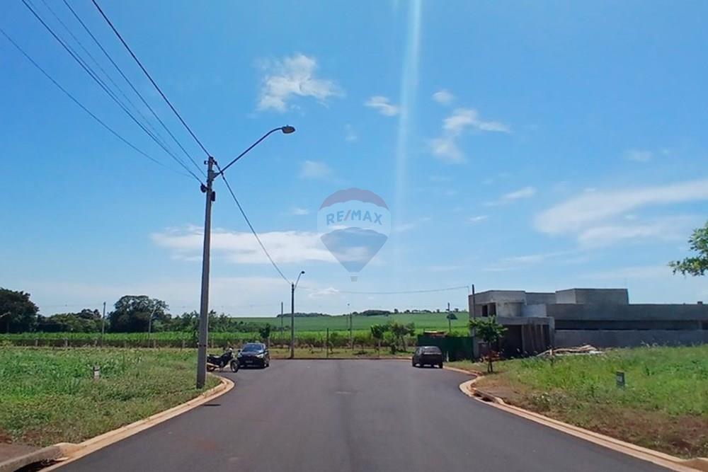 Terreno - Venda - Ribeirão Preto , São Paulo - RUA INTERNA 01.jpeg - 780241027-5