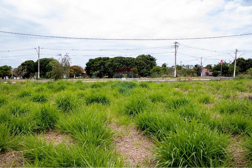 Terreno - Venda - São Joaquim da Barra , São Paulo - WhatsApp Image 2025-11-16 at 21.29.07 (1).jpeg - 780301007-9