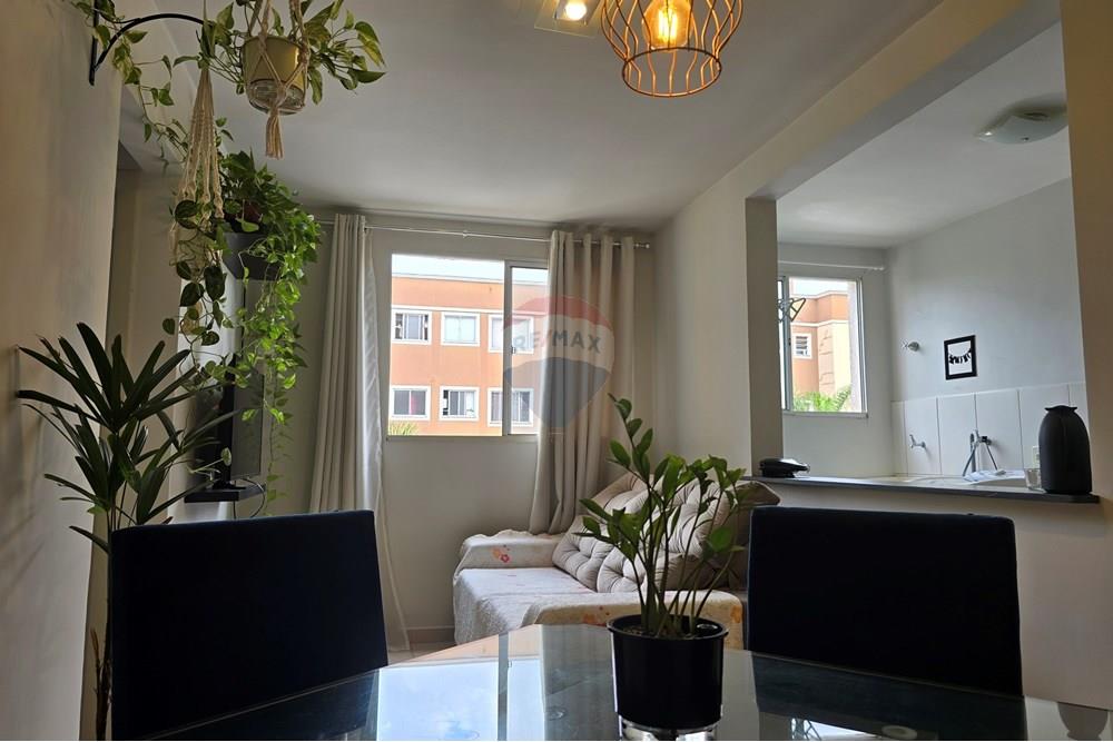 Apartamento - Venda - Ribeirão Preto , São Paulo - 20250104_112159.jpg - 780171048-79