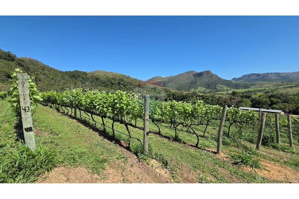 Hotel/ Pousada - Venda - São João Batista do Glória , Minas Gerais - 20250412_104114.jpg - 780251001-47