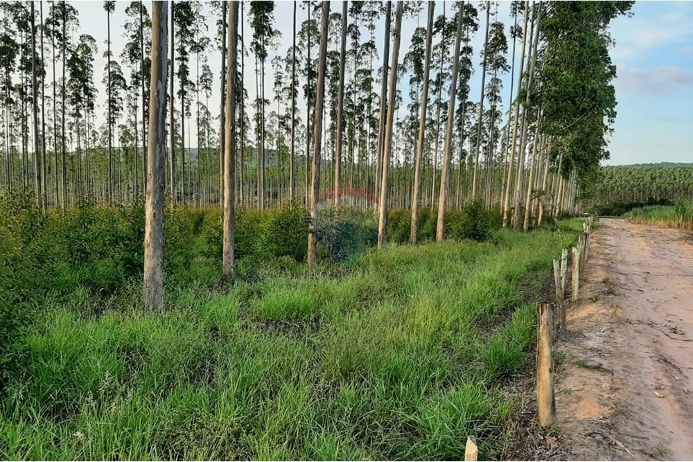 Terreno - Venda - Altinópolis , São Paulo - WhatsApp Image 2025-02-19 at 14.59.36 (2).jpeg - Layout aberto - 780091026-186