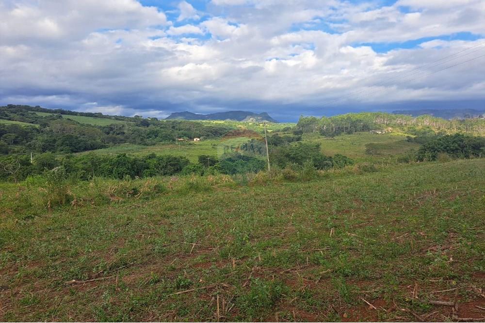 Fazenda - Venda - Cajuru , São Paulo - IMG-20250406-WA0154.jpg - 780171030-57