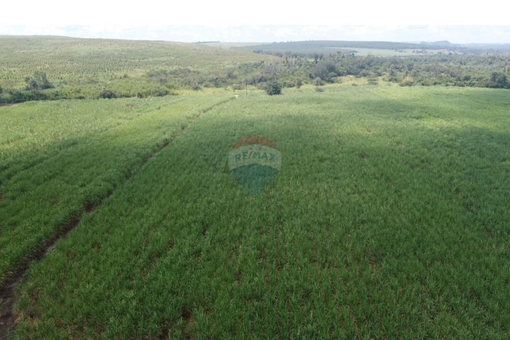 Fazenda - Venda - Altinópolis , São Paulo - DJI_0663.JPG - 780071012-246