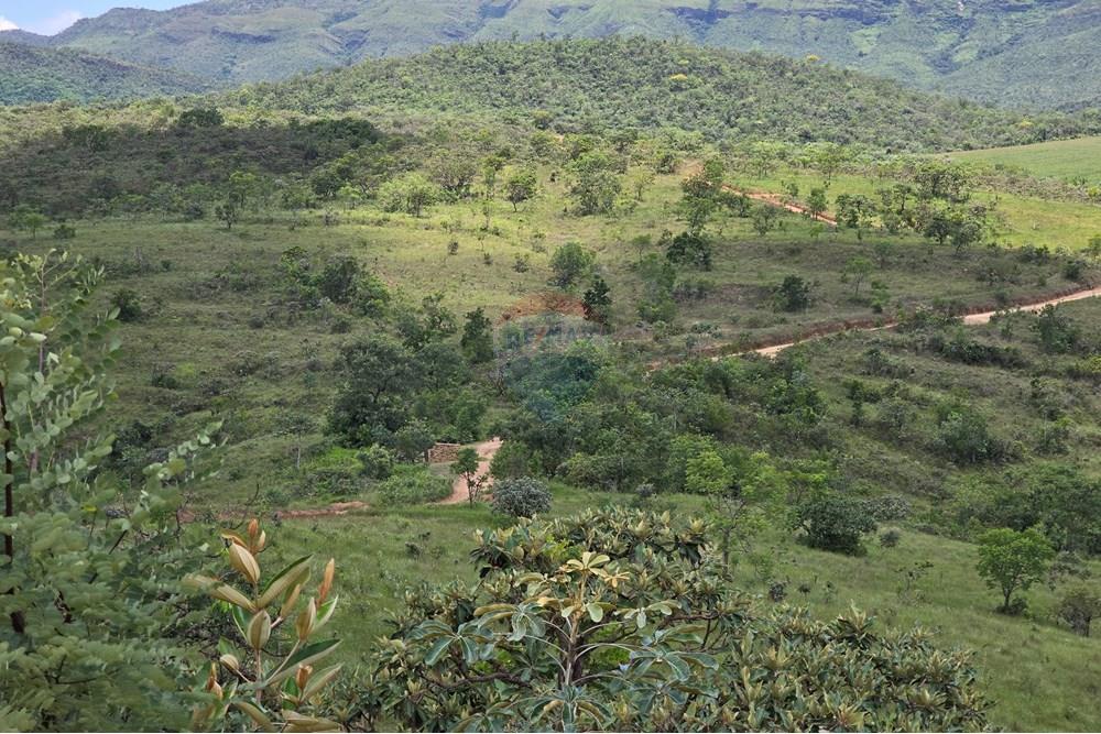 Chácara / Sítio / Fazenda - Venda - Delfinópolis , Minas Gerais - 20250110_124205.jpg - 780251001-45