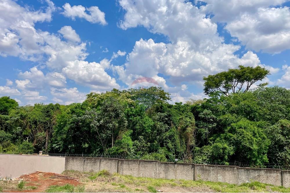 Terreno - Venda - Ribeirão Preto , São Paulo - 15.jpeg - 780121005-78
