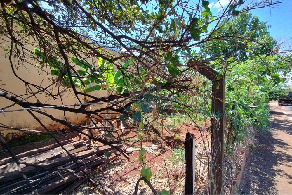 Terreno - Venda - Ribeirão Preto , São Paulo - WhatsApp Image 2025-11-04 at 14.10.30 (2).jpeg - 780181003-72