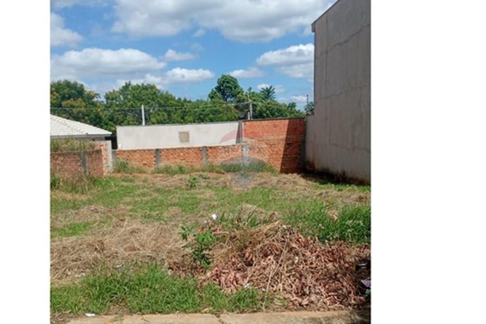 Terreno - Venda - Monte Alto , São Paulo - WhatsApp Image 2026-02-23 at 09.13.31.jpeg - 780271058-14