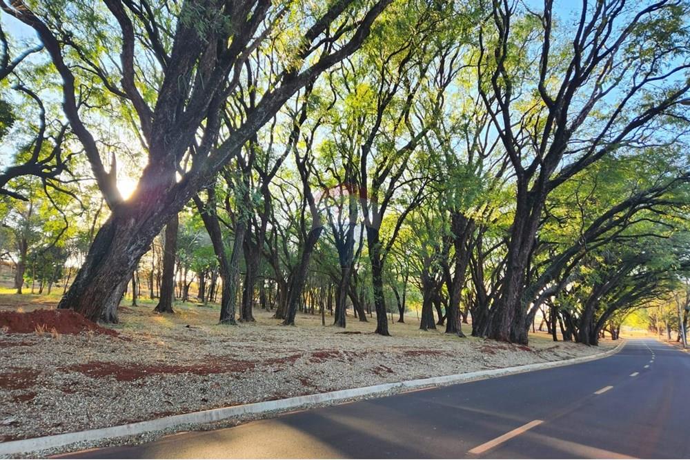 Casa de Condomínio - Venda - Ribeirão Preto , São Paulo - WhatsApp Image 2025-08-12 at 10.24.58 (1).jpeg - 780091032-140