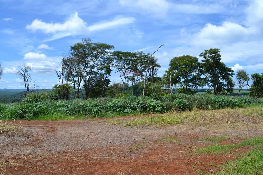 Agro - Venda - Luís Antônio , São Paulo - DSC_0120.JPG - 780071080-2