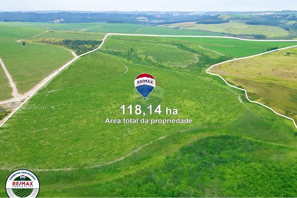 Terreno - Venda - Altinópolis , São Paulo - WhatsApp Image 2025-03-15 at 07.04.09 (4).jpeg - Layout aberto - 780091026-186