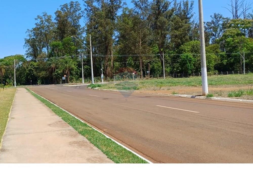 Terreno - Venda - Sertãozinho , São Paulo - IMG-20250926-WA0011.jpg - 780191016-33