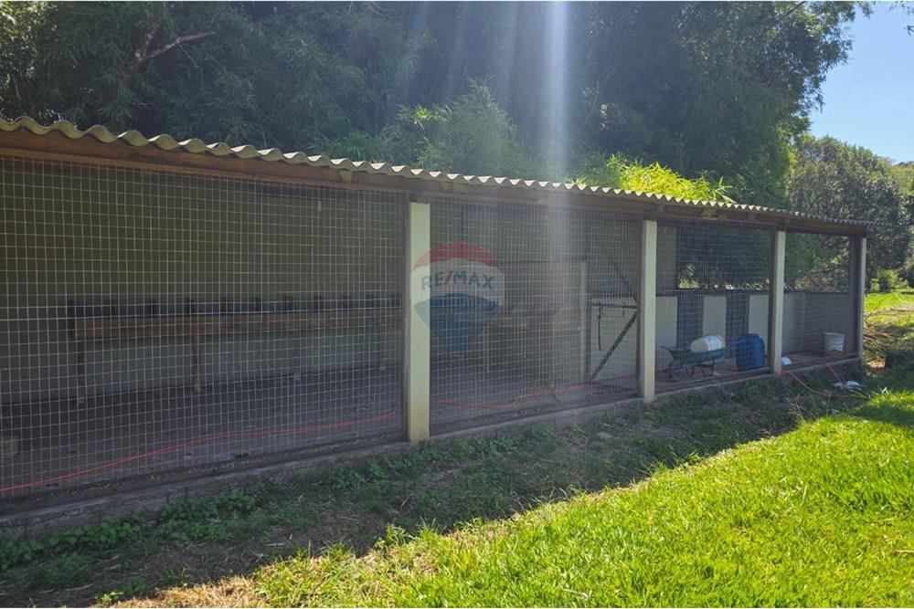 Chácara / Sítio / Fazenda - Venda - Santo Antônio da Alegria , São Paulo - IMG-20251121-WA0131.jpg - 780171030-68