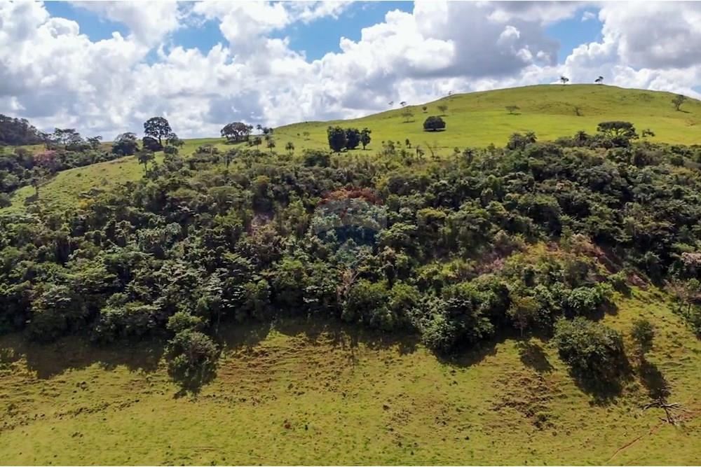 Chácara / Sítio / Fazenda - Venda - Cajuru , São Paulo - IMG_9366.jpg - 780241009-47
