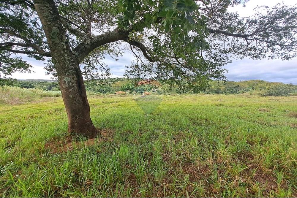 Chácara / Sítio / Fazenda - Venda - Cajuru , São Paulo - IMG-20250406-WA0112.jpg - 780171030-59