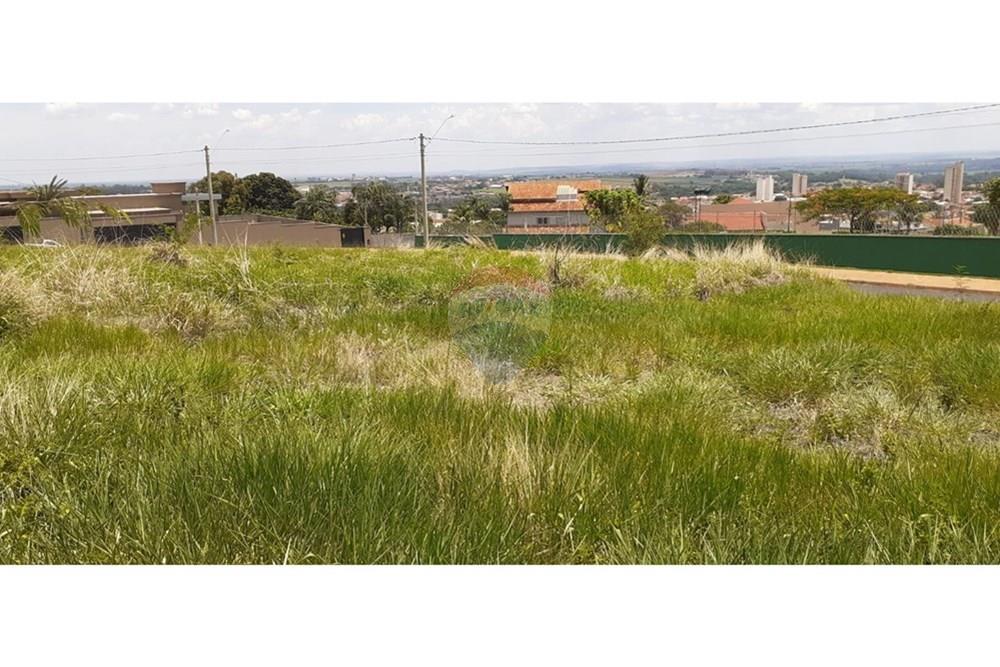 Terreno - Venda - São Joaquim da Barra , São Paulo - IMG-20251202-WA0149.jpg - 780301010-7