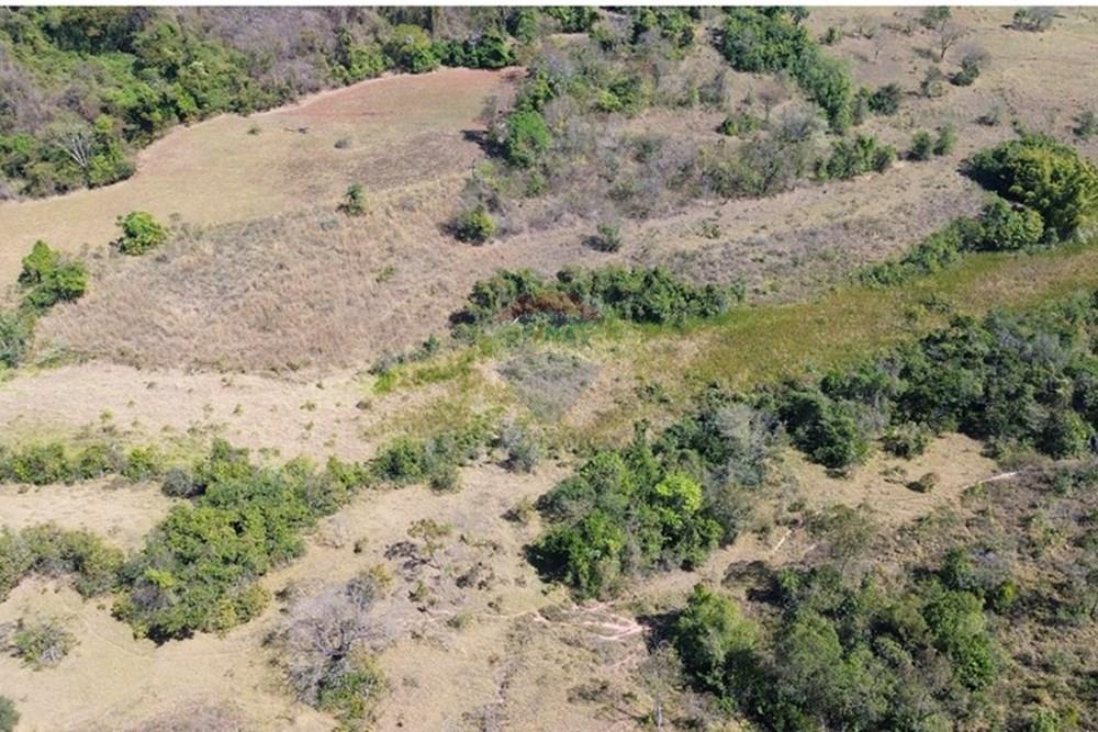 Chácara / Sítio / Fazenda - Venda - Cajuru , São Paulo - 2cdfbfa391e04a95ba5b7446c48e3471.jpg - 780171030-59