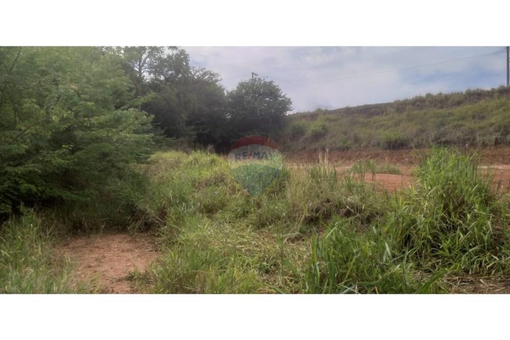 Terreno - Venda - Cristais Paulista , São Paulo - Imagem do WhatsApp de 2025-03-26 à(s) 16.24.23_96de98a4.jpg - 780231035-21