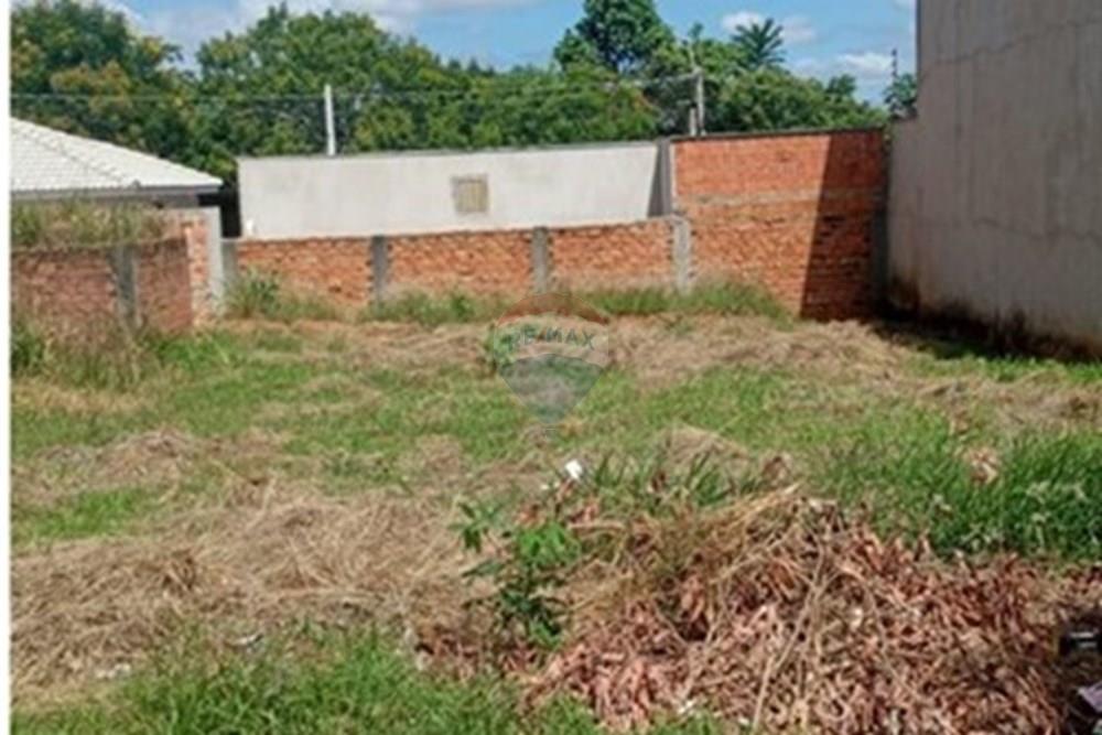 Terreno - Venda - Monte Alto , São Paulo - WhatsApp Image 2026-02-23 at 09.13.31.jpeg - 780271058-14