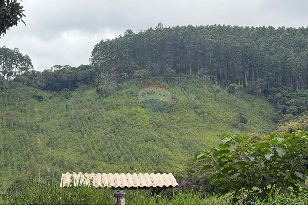Chácara / Sítio / Fazenda - Venda - Lagoinha , São Paulo - 1000169096[1].jpg - 780091101-2