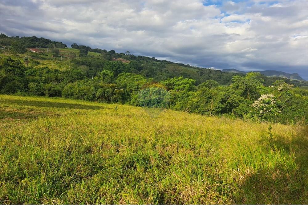 Fazenda - Venda - Cajuru , São Paulo - IMG-20250406-WA0161.jpg - 780171030-57