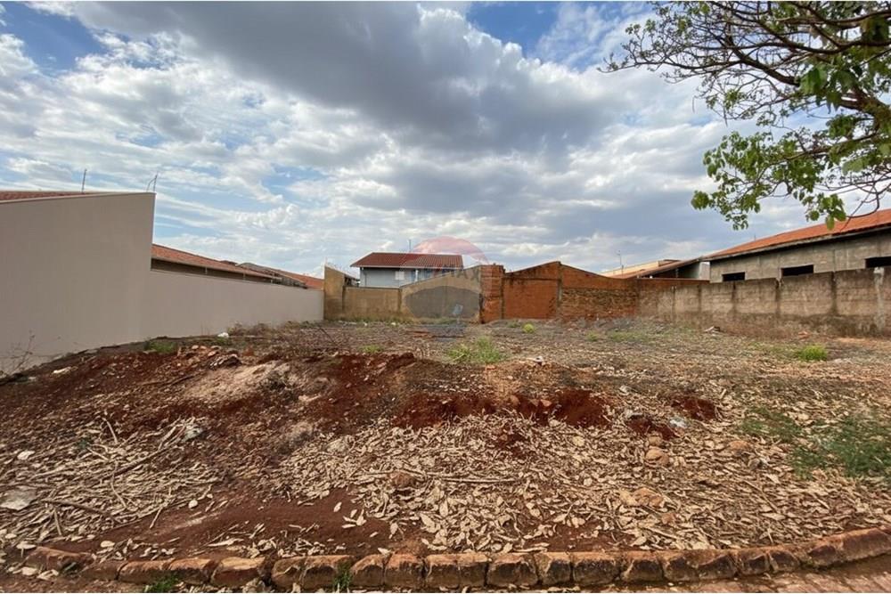 Terreno - Venda - São Joaquim da Barra , São Paulo - 18.jpg - 780301006-45