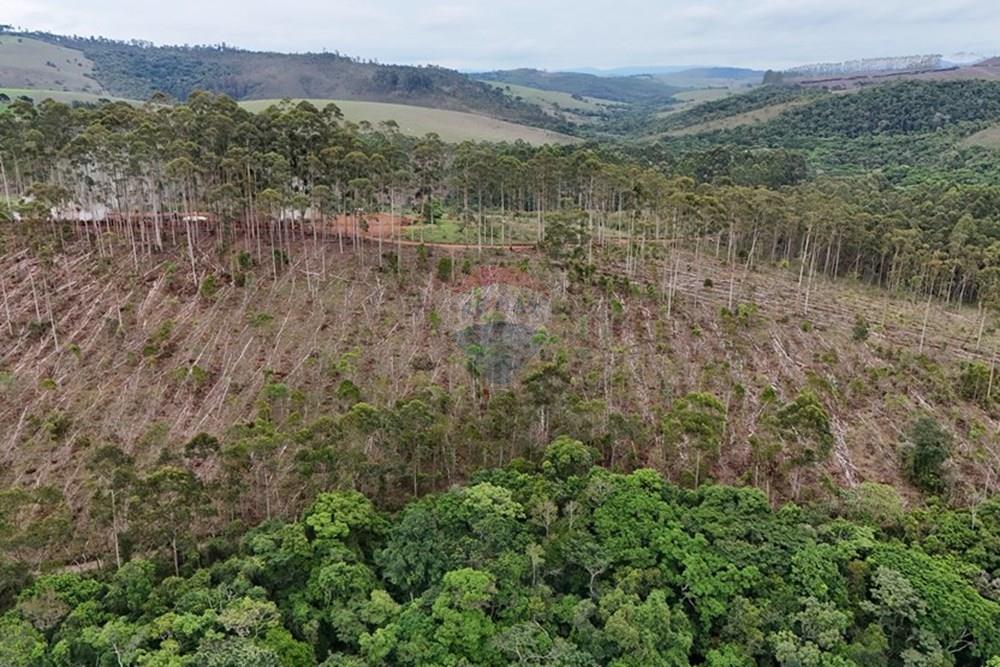 Chácara / Sítio / Fazenda - Venda - Aiuruoca , Minas Gerais - DJI_20241113153726_0314_D.JPG - 780251035-5