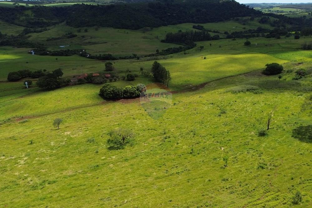 Fazenda - Venda - Cajuru , São Paulo - DJI_0043.JPG - 780171030-74