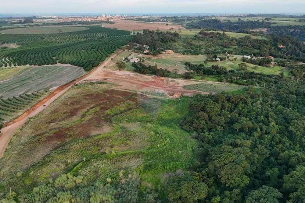 Chácara / Sítio / Fazenda - Venda - Monte Alto , São Paulo - foto 19.jpg - 780271059-44