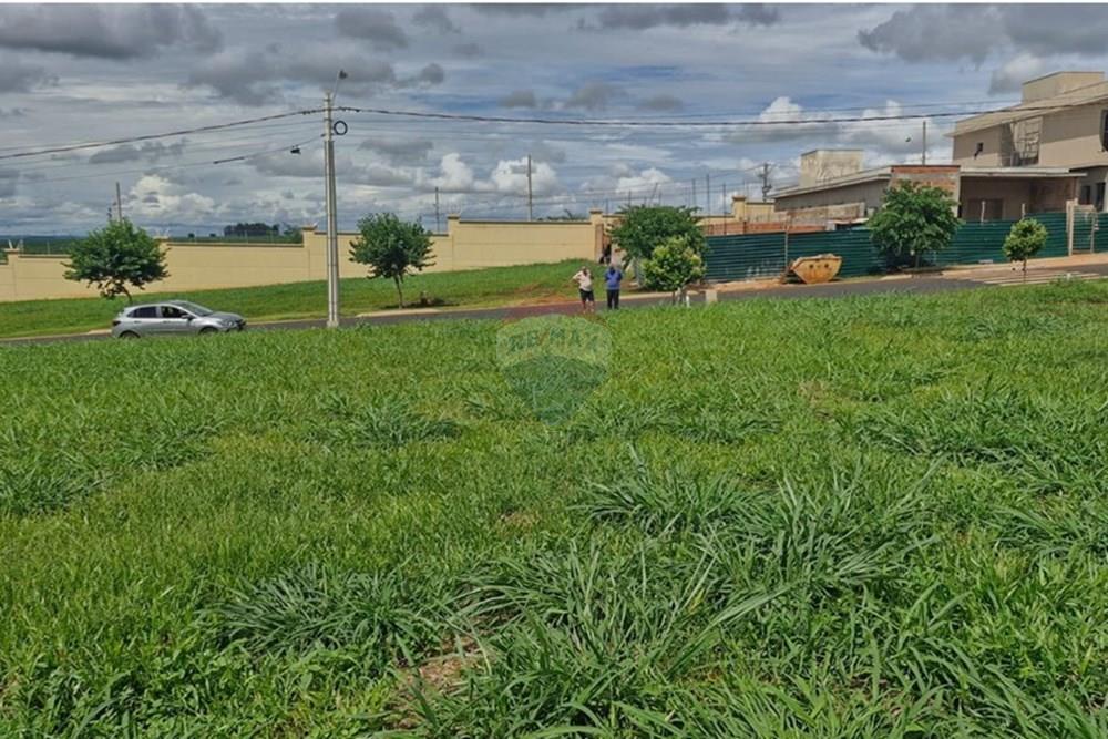 Terreno - Venda - Ribeirão Preto , São Paulo - WhatsApp Image 2026-02-03 at 09.42.12 (1).jpeg - 780181002-50