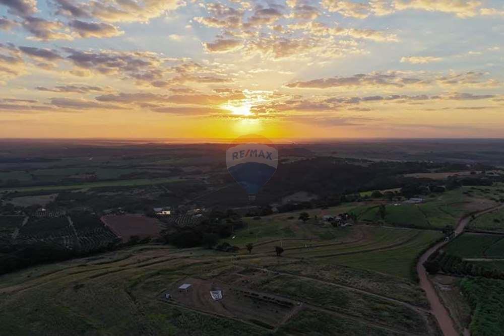 Chácara / Sítio / Fazenda - Venda - Monte Alto , São Paulo - foto 4.jpg - 780271059-44